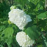 Pensjonat De Poujoles 3*