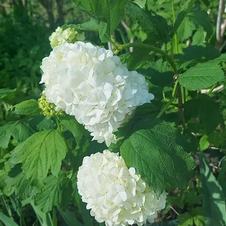 Pensjonat De Poujoles 3*